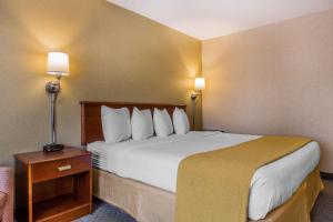 Postel nebo postele na pokoji v ubytování Quality Inn Hyde Park - Poughkeepsie North