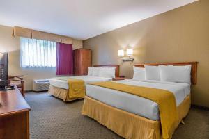 Postel nebo postele na pokoji v ubytování Quality Inn Hyde Park - Poughkeepsie North