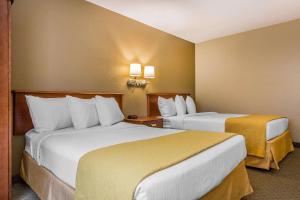 Postel nebo postele na pokoji v ubytování Quality Inn Hyde Park - Poughkeepsie North