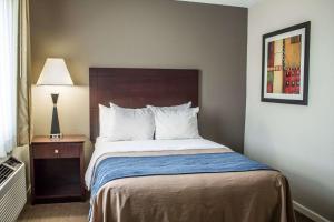 a hotel room with a bed and a lamp at Comfort Inn Sandusky in Sandusky