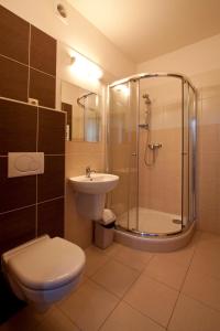 a bathroom with a shower and a toilet and a sink at Penzion Ruland in Brno