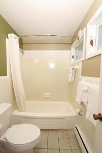 a bathroom with a tub and a toilet and a shower at Budget Inn Cicero in Cicero