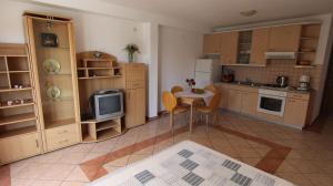 Kuchyň nebo kuchyňský kout v ubytování Apartment Malinska, Krk 15