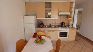 Kuchyň nebo kuchyňský kout v ubytování Apartment Malinska, Krk 15