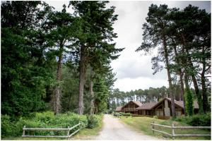 a dirt road leading to a cabin in a forest at Dorset Resort Hotel in East Stoke