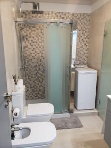 ein Badezimmer mit Dusche, Toilette und Waschbecken in der Unterkunft Luxury Tagara Beach in Puerto de Santiago