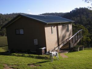 a dog standing in the grass in front of a house at Yasuragi Cabins in Brogo
