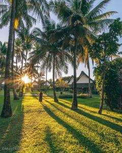La Pirogue Mauritius外面的花园
