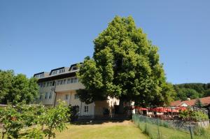 ein großer Baum vor einem Gebäude in der Unterkunft Gasthof Bacher in Villach