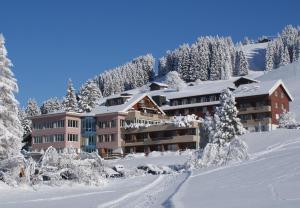 Ferien- und Familienhotel Alpina Adelboden trong mùa đông