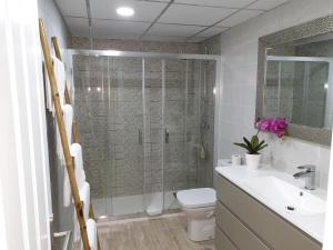 A bathroom at A&S Apartamentos Malaga