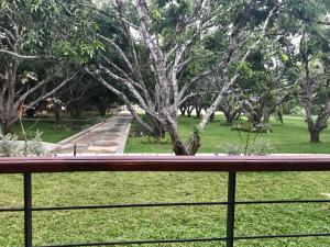 Vrt pred nastanitvijo Sigiriana Resort by Thilanka