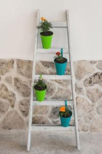 Fotografie z fotogalerie ubytování Apartments Kantunal v destinaci Skradin