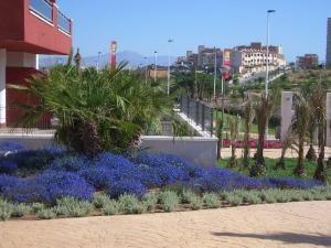 Foto da galeria de Arenales Playa by Mar Holidays em Arenales del Sol