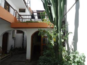 a building with a balcony and a palm tree at Posada Junco y Capuli in Huancayo
