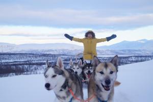 Majutusasutuses Abisko net Hostel & Huskies peatuvad lapsed