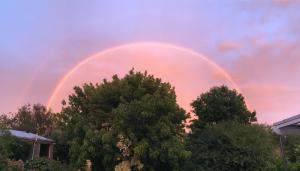 a double rainbow in the sky over some trees at Langleys Port Campbell Hobby Farm in Port Campbell
