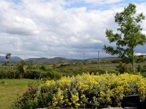 Loodusmaastik of the bed and breakfast lähedal