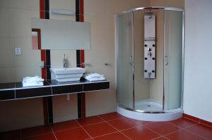 a bathroom with a shower and a sink at Hotel 21 in Bratislava +12 photos