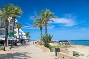 una spiaggia con palme e l'oceano di Apartamentos Roca Plana a Es Pujols