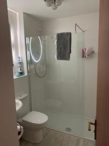 インバネスにあるMiller Apartmentのバスルーム(シャワー、トイレ、洗面台付)