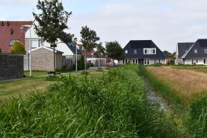 un campo de hierba alta frente a las casas en B&B Waddenzeetexel en Oudeschild