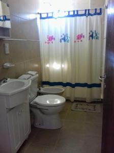 a bathroom with a toilet and a shower curtain at El Balcón 2 in Concepción del Uruguay +10 photos