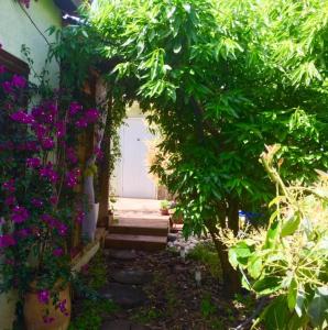 a garden with purple flowers and a door with stairs at The fruit garden guesthouse in Kfar Yona