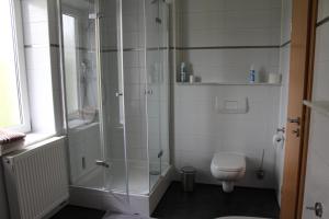 een badkamer met douche en toilet bij Ferienwohnung in der Natur in Drolshagen