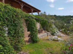 un jardín con 2 bancos blancos y un edificio en Villas Valinco Capicciolo vue-proche mer-piscines, en Olmeto