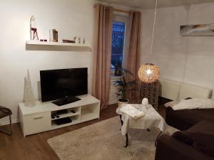 TV a/nebo společenská místnost v ubytování Ferienwohnung in der Altstadt