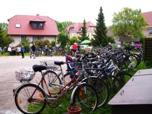 Jízda na kole v ubytování Gasthof Zur Eiche nebo okolí