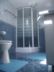 ห้องน้ำของ Cabana Piatra Runcului