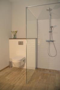 a bathroom with a toilet and a glass shower stall at Uns Landhus 43 - 5 Personen in Tating +18 photos
