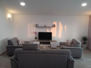 a living room with two couches and a flat screen tv at Apartman Nina in Kruševo