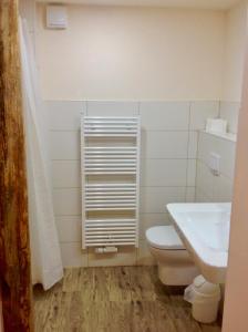 a bathroom with a white toilet and a sink at Gästehaus Landgut Lischow in Neuburg-Steinhausen