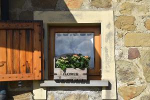 Fotografie z fotogalerie ubytování Bed and Breakfast Country Hill v destinaci Arezzo