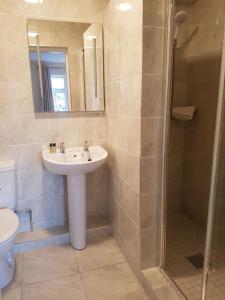 a bathroom with a sink and a shower at Balcony House in Galway