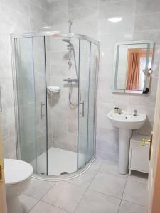 a bathroom with a shower and a toilet and a sink at Balcony House in Galway