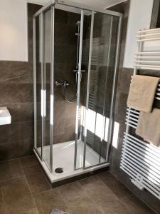 a shower with a glass door in a bathroom at Harry´s Appartement in Pettneu am Arlberg