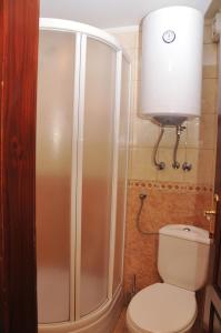 a bathroom with a shower and a white toilet at Vila Jelena Zlatar Nova varoš in Brdo