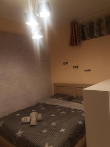 アルテミダにあるAURORAのベッドルーム1室(星空のあるベッド1台付)