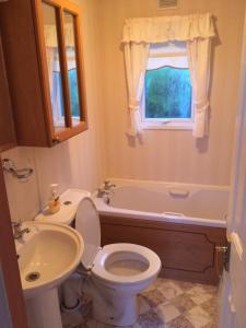a bathroom with a toilet and a sink and a tub at Dolafon Farm Stay in St Asaph