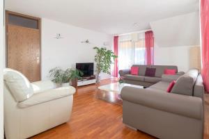 ein Wohnzimmer mit 2 Sofas und einem TV in der Unterkunft Fine Stay Apartments in Žirovnica