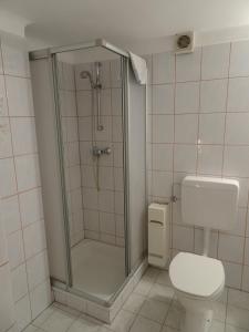 a bathroom with a shower and a toilet at Gasthof Gruber in Wald am Schoberpaß +21 photos