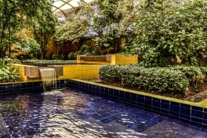 Bazén v ubytování Hotel Oliver Inn Toluca nebo v jeho okolí