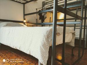 Легло или легла в стая в Posada Verona Hostel