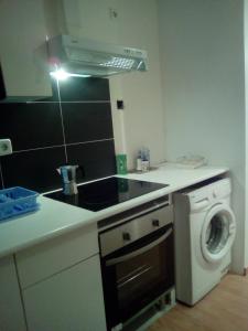 a kitchen with a sink and a washing machine at Apartamentos pandiellos I in Madrid