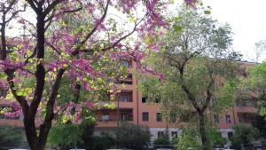ヴェローナにあるロメオ＆ジュリエット ノン ホテルのピンクの花の木が目の前に広がるアパートメントビル