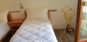 Postel nebo postele na pokoji v ubytování Nido di Rondine B&B